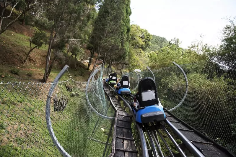 mountain coaster