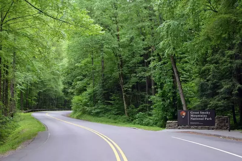 a scenic drive through the national park is one of the best free activities in Pigeon Forge