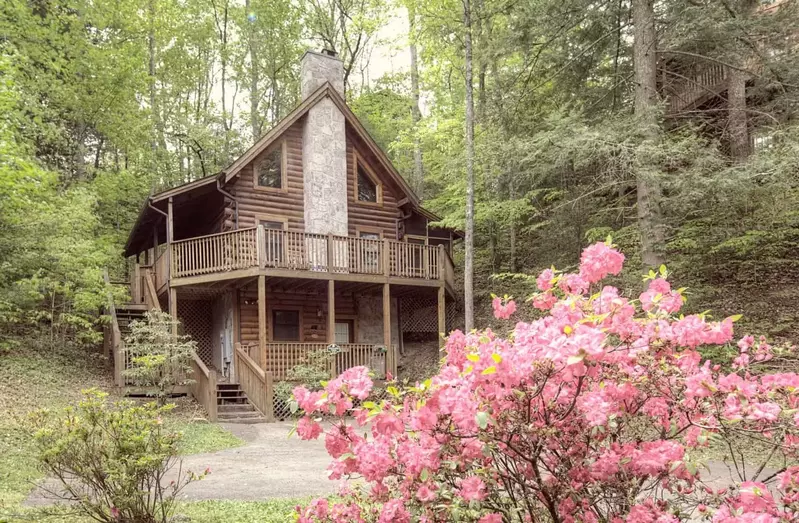 A wonderful Pigeon Forge log cabin with pink flowers growing near the driveway.