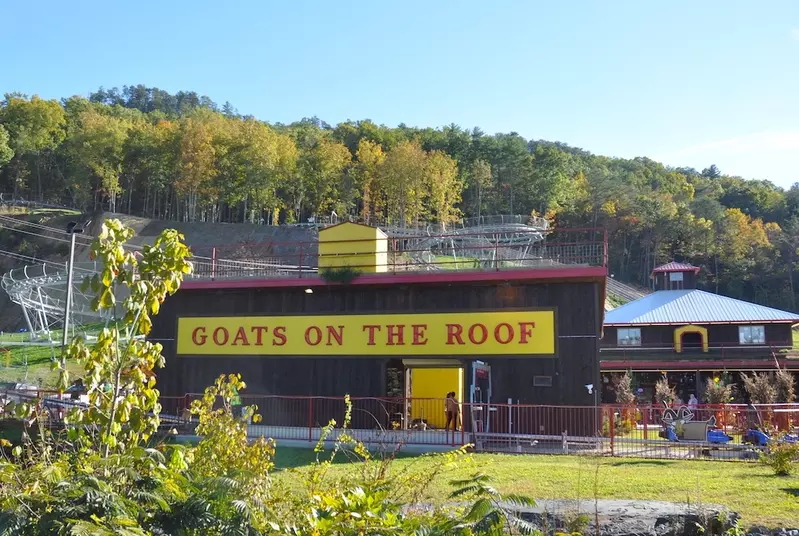 Goats on the Roof - one of the top hidden things to do in Pigeon Forge
