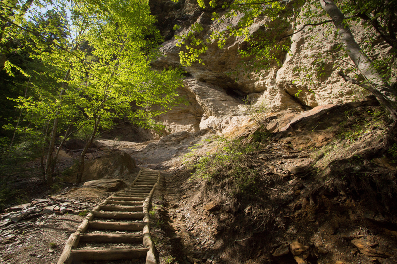 trail leading to Alum Cave Bluff