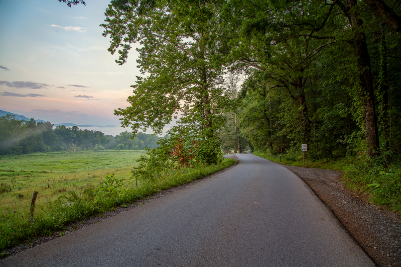 Cades Cove Loop Road in the early morning