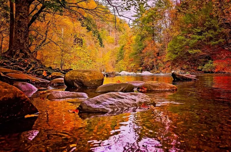 Smoky Mountain stream surrounded by fall leaves
