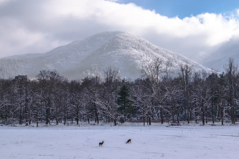 winter in the smoky mountains at cades cove