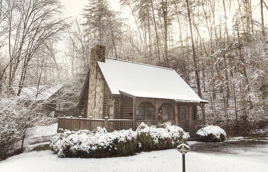 eagles ridge cabin with snow