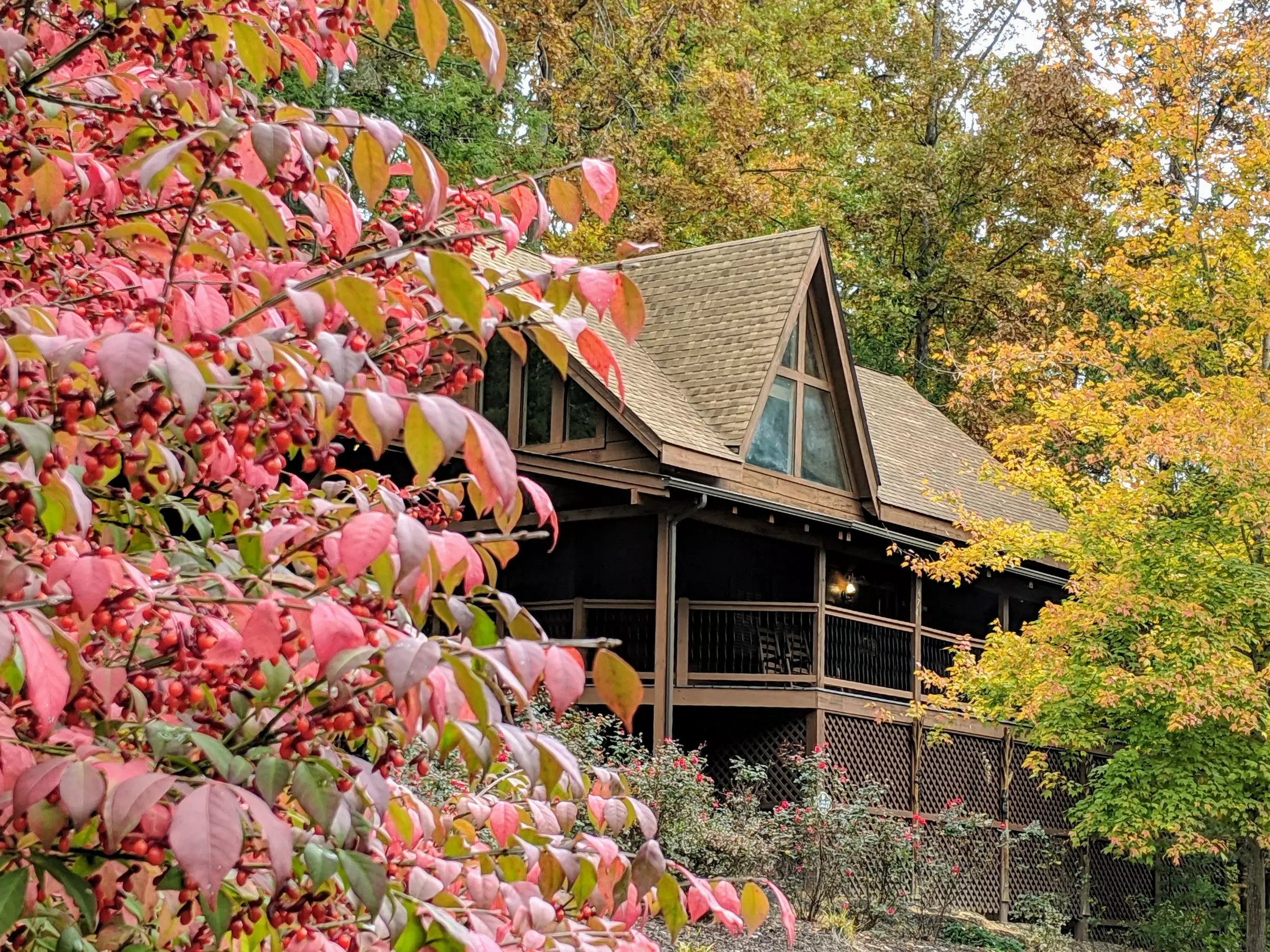 cabin in the fall