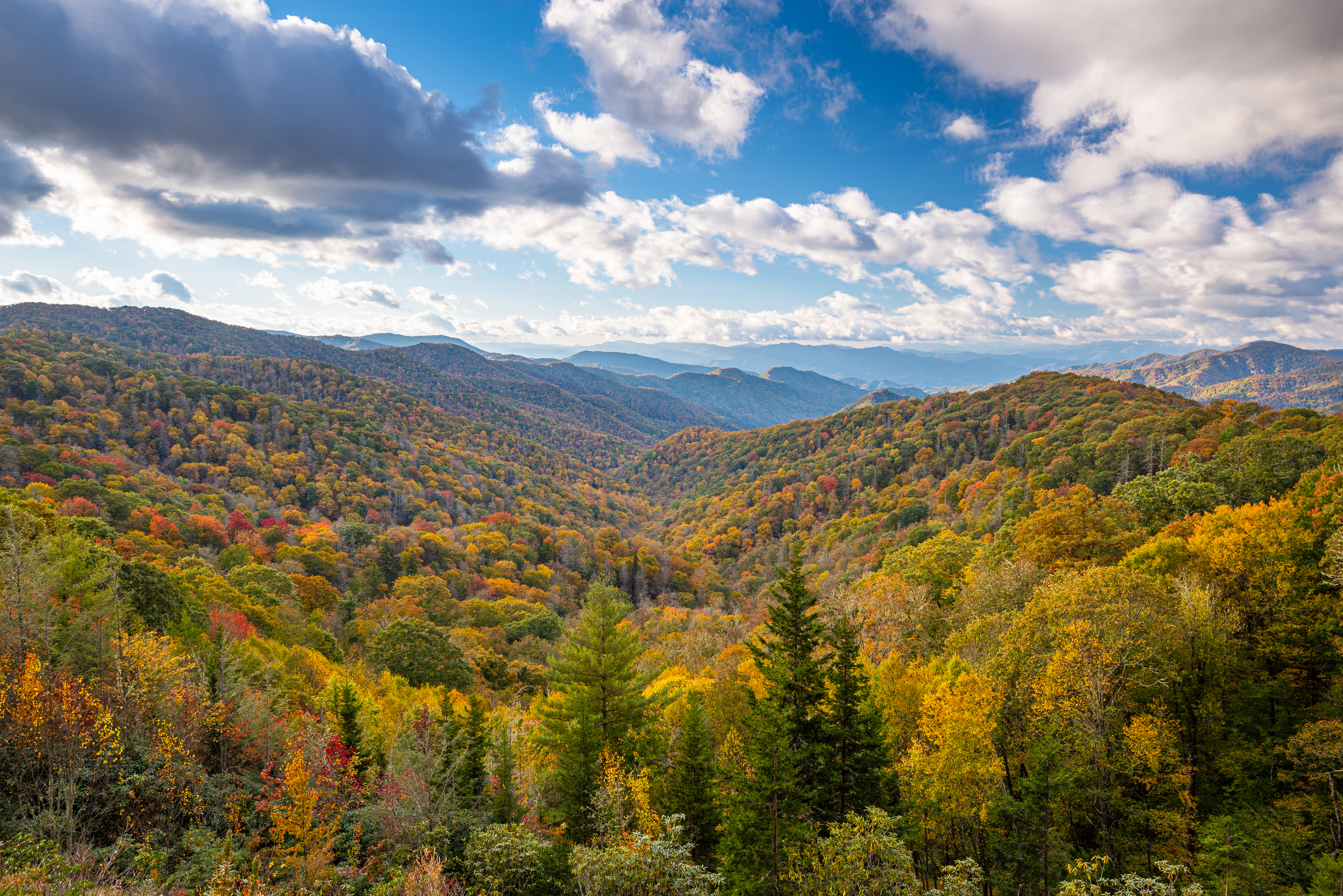 shutterstock_1812684613